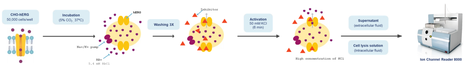 Principles Of Flux Assay Using Ion Channel Reader - Aurora Biomed