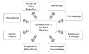 Applications of CE in Clinical Chemistry